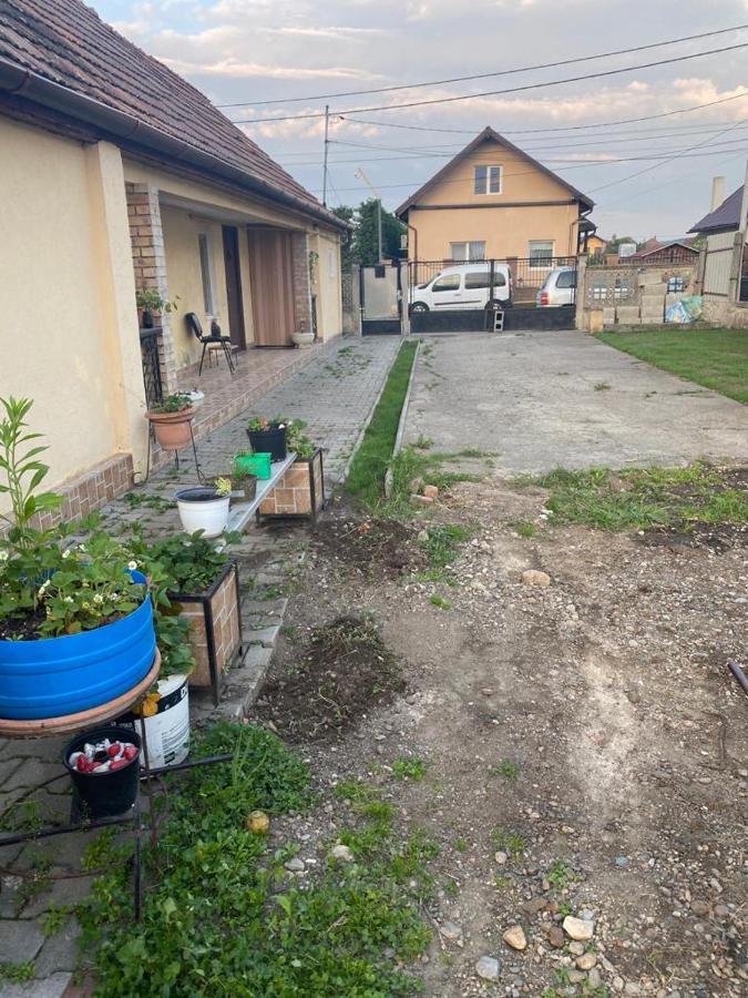 Willa Casa Ionela Kluż-Napoka Zewnętrze zdjęcie